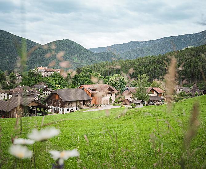Oberbinder - Bildergalerie Photo