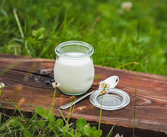 yogurt naturale