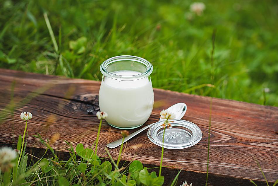 yogurt naturale