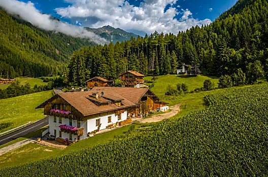 Hof im Sommer
