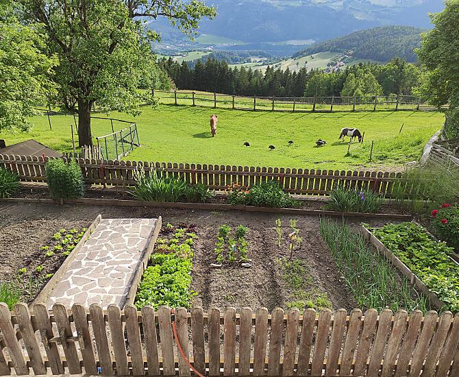 Kleineggerhof - gallery Photo