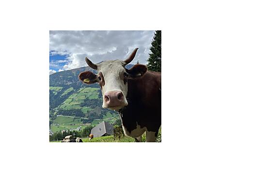 Hauerhof - Liste Photo