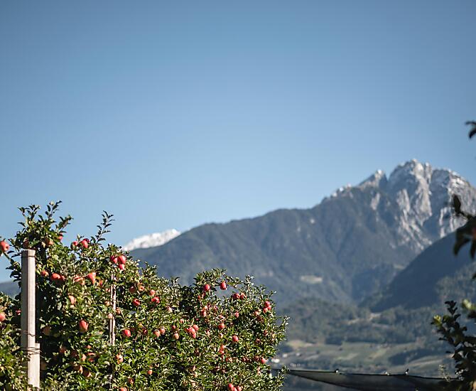 Bucherhof - gallery Photo