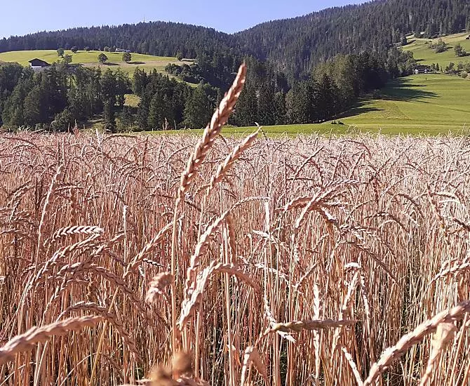 Schopferhof - gallery Photo