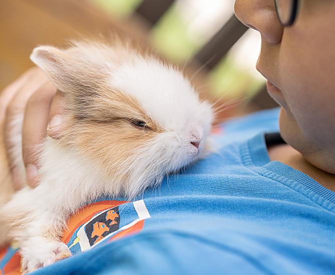 Redenhof - Bildergalerie Photo