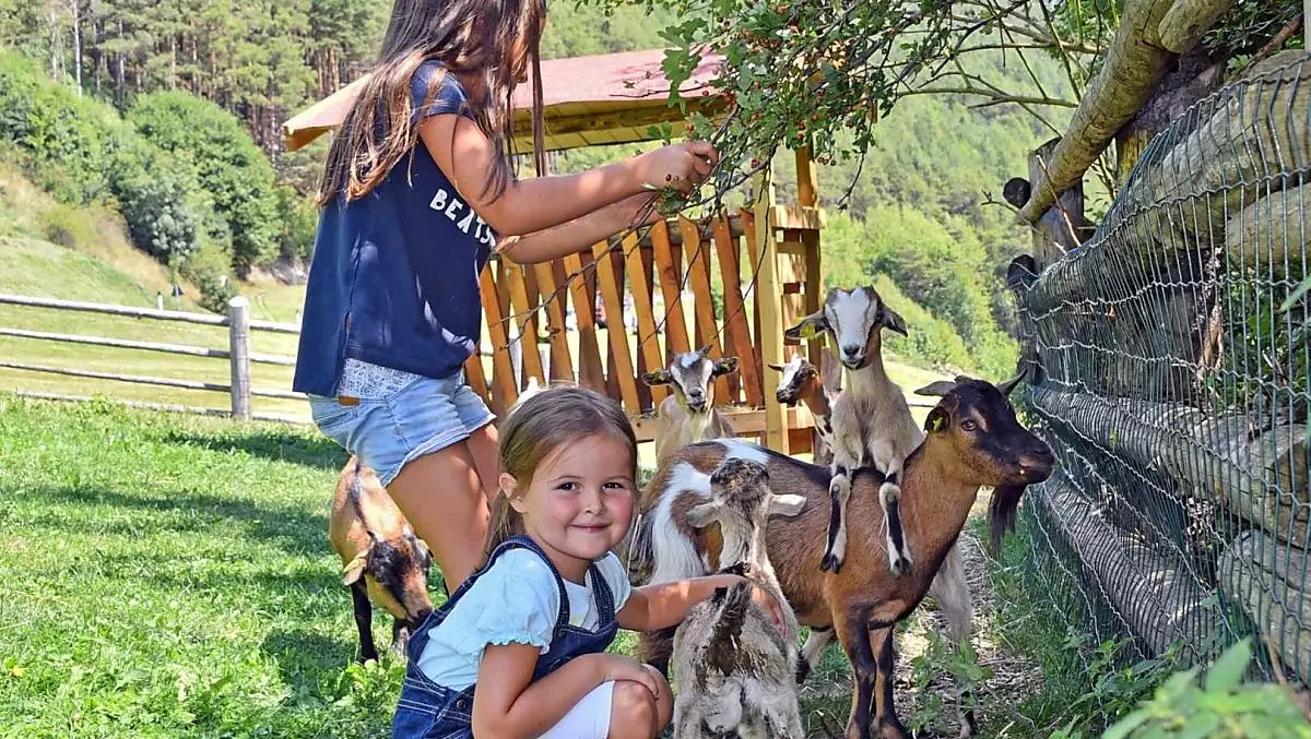 Alla scoperta delle capre: imparate a conoscere la fantastica gestione di questi animali, Julia e Leonie sono lì!
