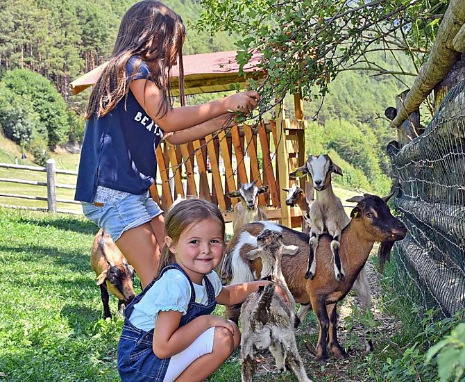 Alla scoperta delle capre: imparate a conoscere la fantastica gestione di questi animali, Julia e Leonie sono lì!