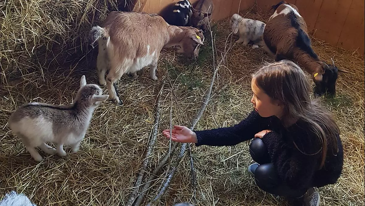 La nostra Julia, come noi, si preoccupa molto del benessere degli animali: i cuccioli stanno bene? La stalla è pulita? C'è abbastanza cibo?