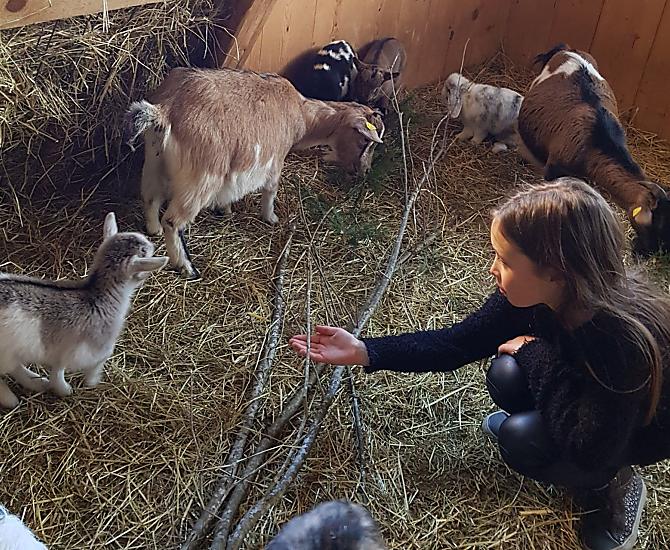 La nostra Julia, come noi, si preoccupa molto del benessere degli animali: i cuccioli stanno bene? La stalla è pulita? C'è abbastanza cibo?
