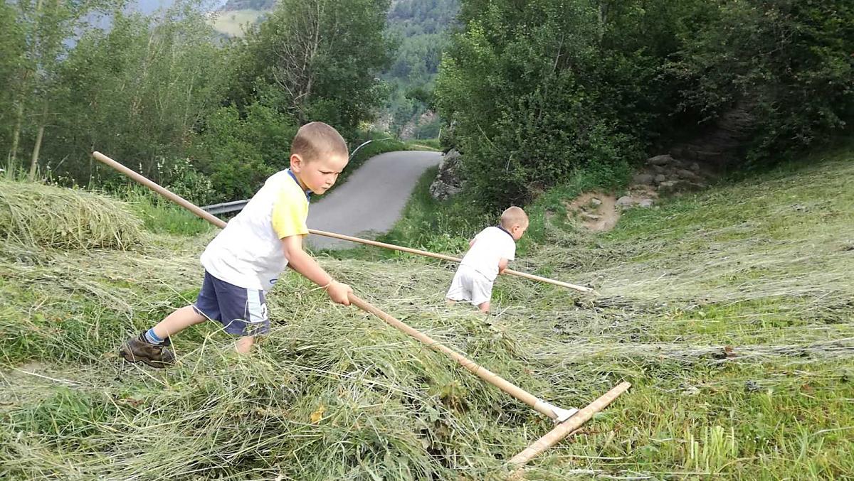 I ragazzi rastrellano il fieno
