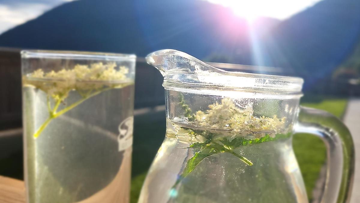 sciroppo di fiori di sambuco