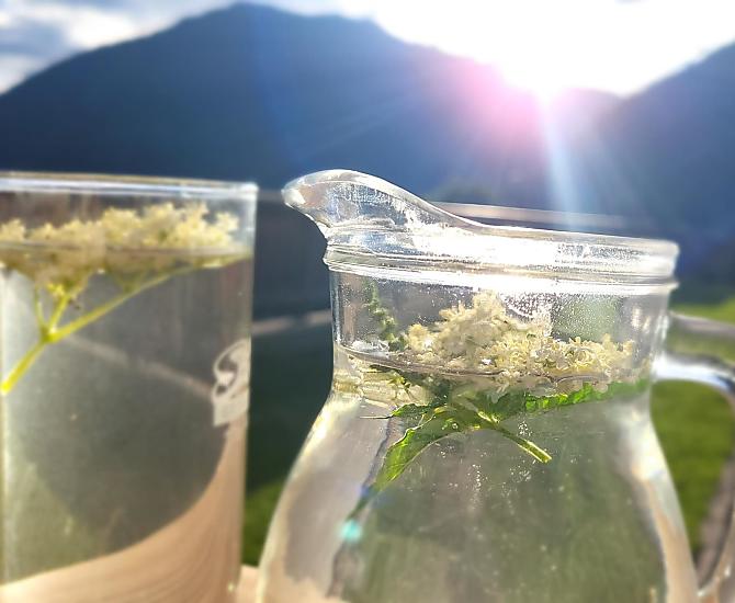 sciroppo di fiori di sambuco