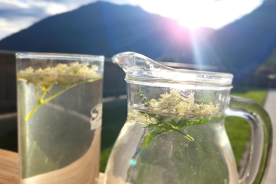 sciroppo di fiori di sambuco