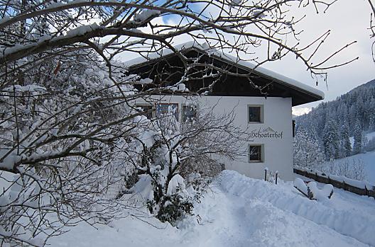 Schoater - Liste Photo