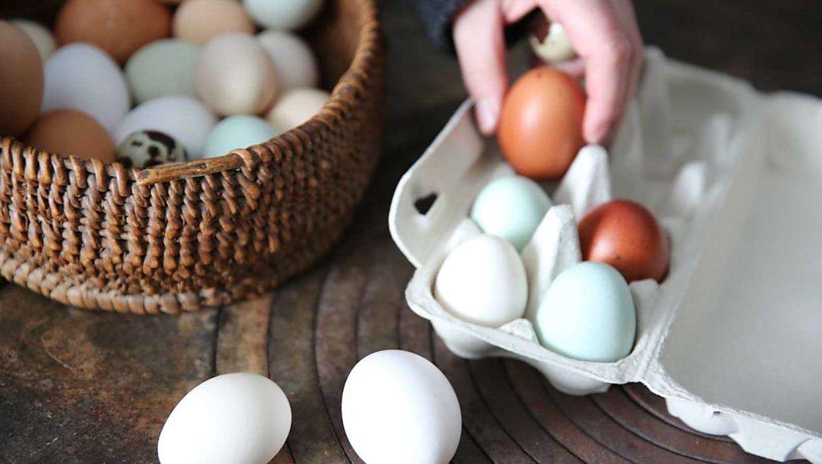 Uova di gallina fresche
