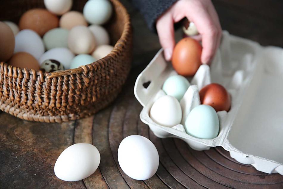 Uova di gallina fresche