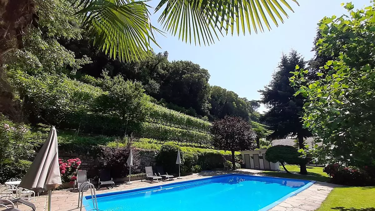 La piscina con i nostri vigneti sullo sfondo