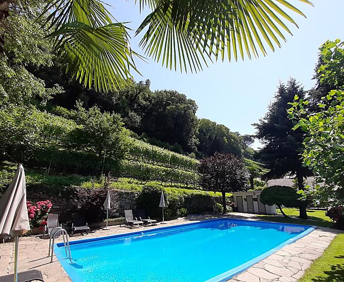 La piscina con i nostri vigneti sullo sfondo