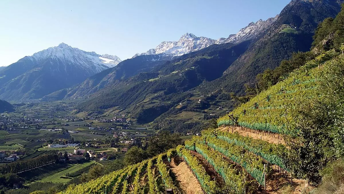 I nostri vigneti in autunno