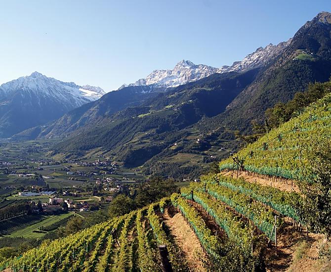 I nostri vigneti in autunno