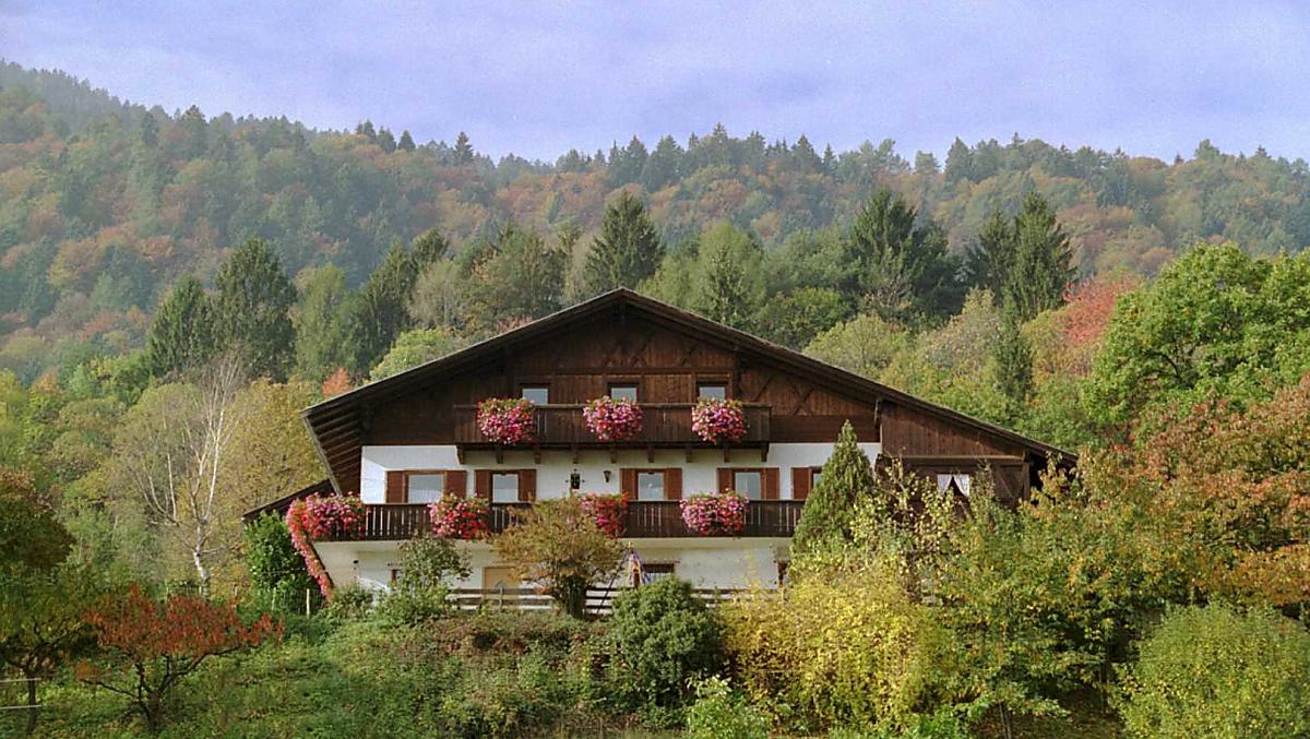 Reinmannhof - gallery Photo