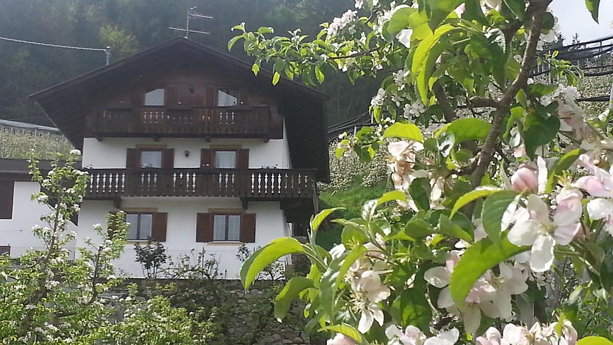 Lochmannhof - gallery Photo