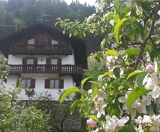 Lochmannhof - gallery Photo