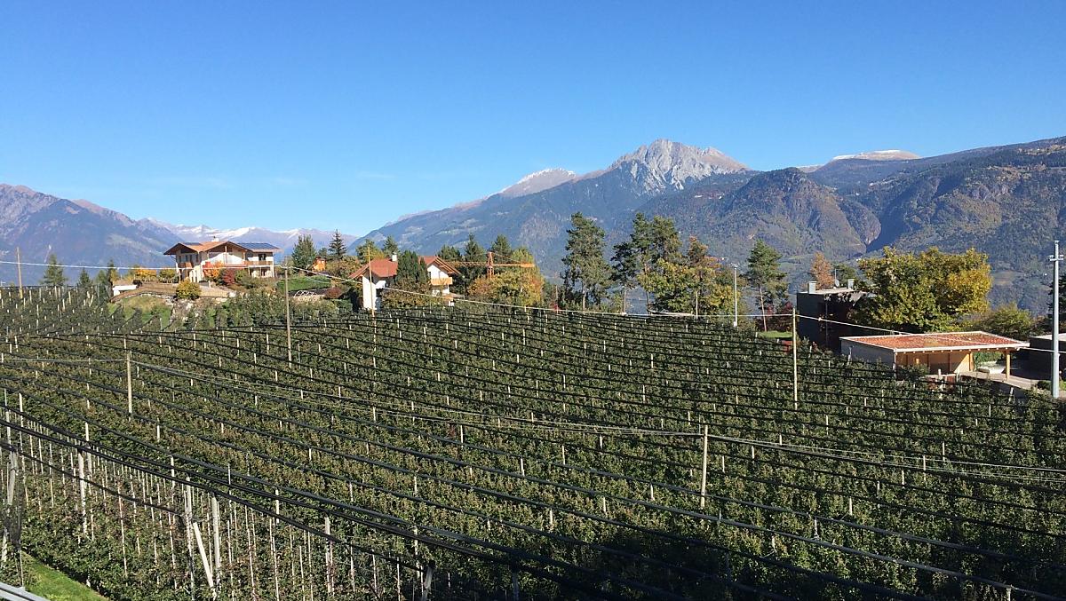 Belle e limpide giornate autunnali