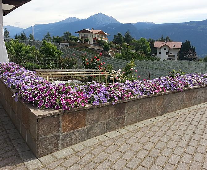 Lochmannhof - gallery Photo
