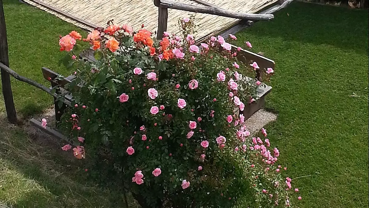 Lochmannhof - Bildergalerie Photo