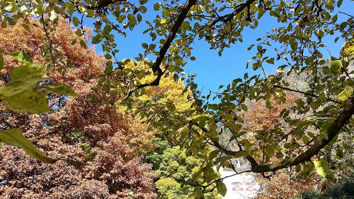 Il nostro giardino in veste autunnale – con vista sul vicino Castel Ansiedl