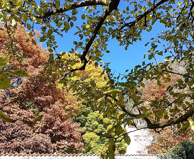 Il nostro giardino in veste autunnale – con vista sul vicino Castel Ansiedl
