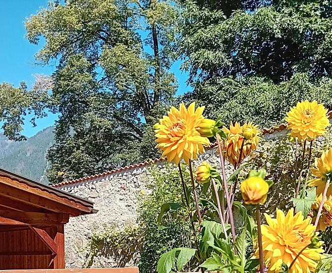 Bachlechnerhof - gallery Photo