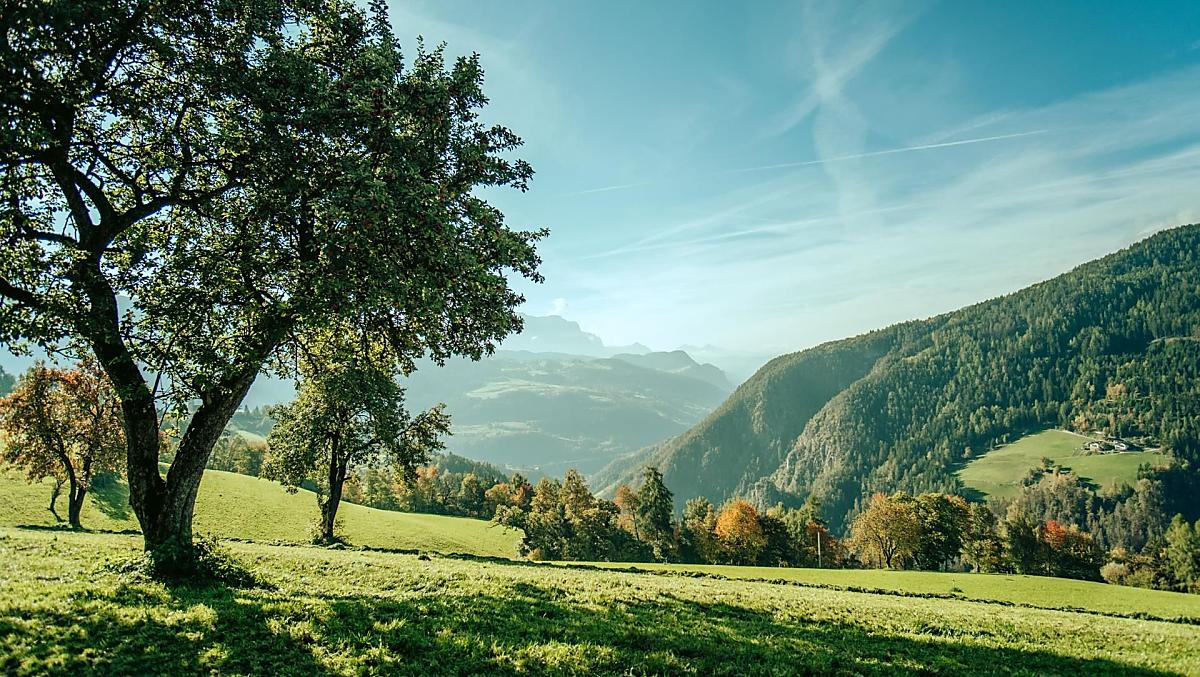 Telfnerhof - gallery Photo