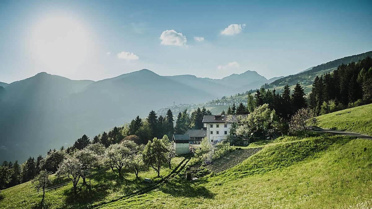 Telfnerhof - gallery Photo