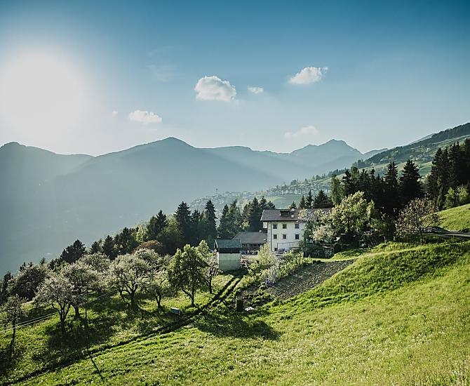 Telfnerhof - gallery Photo