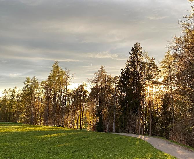 Trotnerhof - gallery Photo