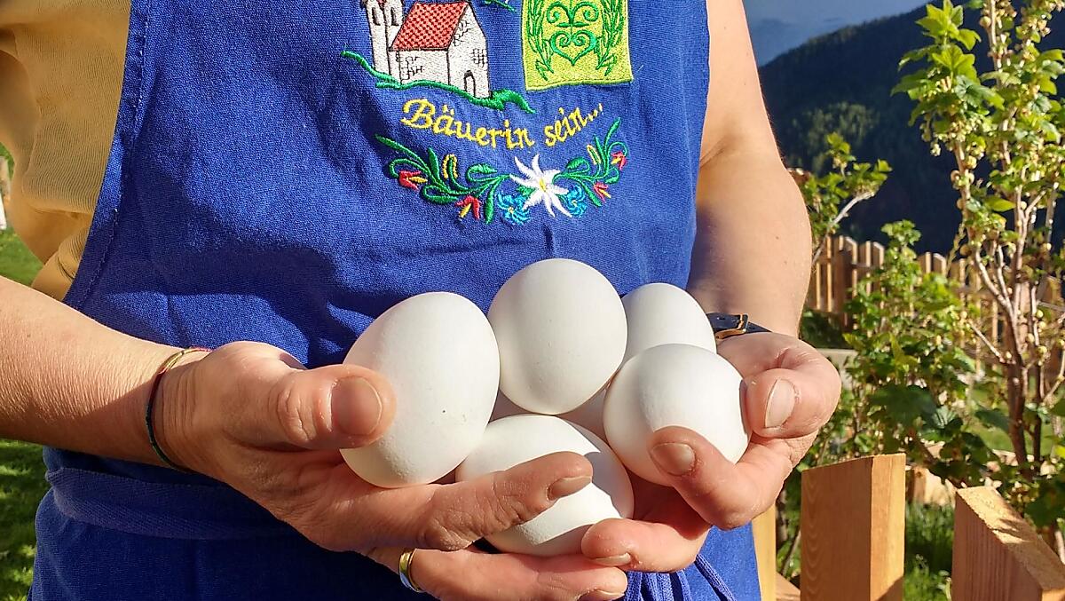 Uova di gallina, fresche ogni giorno dal nostro pollaio.