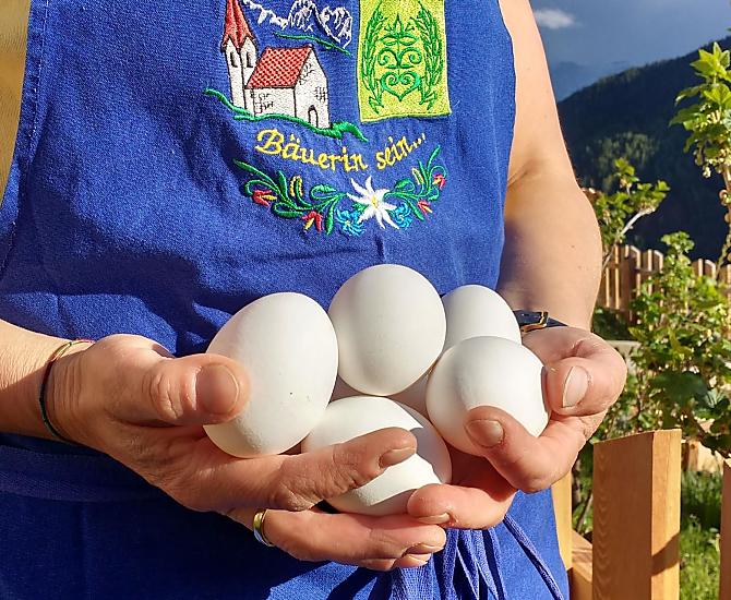 Uova di gallina, fresche ogni giorno dal nostro pollaio.