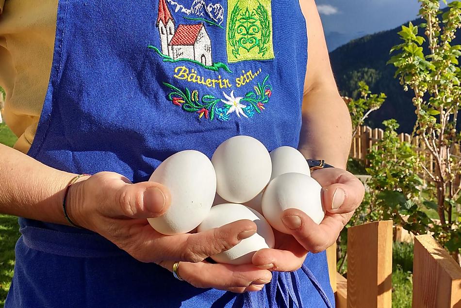 Uova di gallina, fresche ogni giorno dal nostro pollaio.