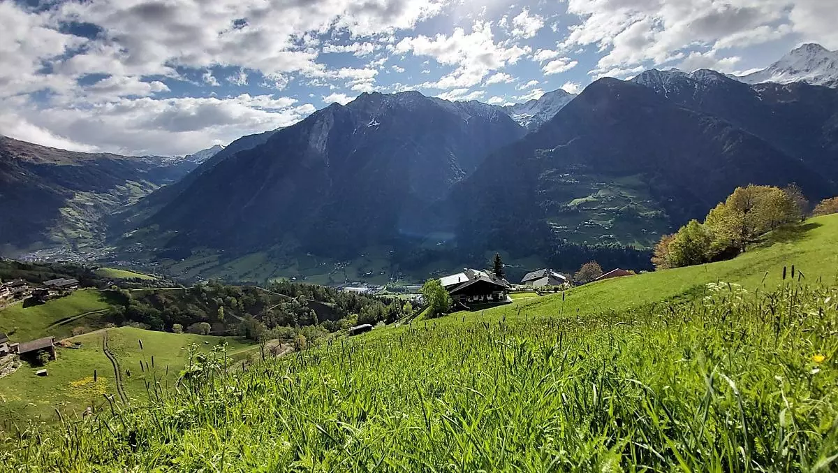 Krusterhof - gallery Photo
