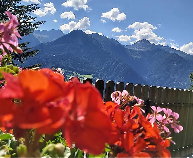 Krusterhof - gallery Photo