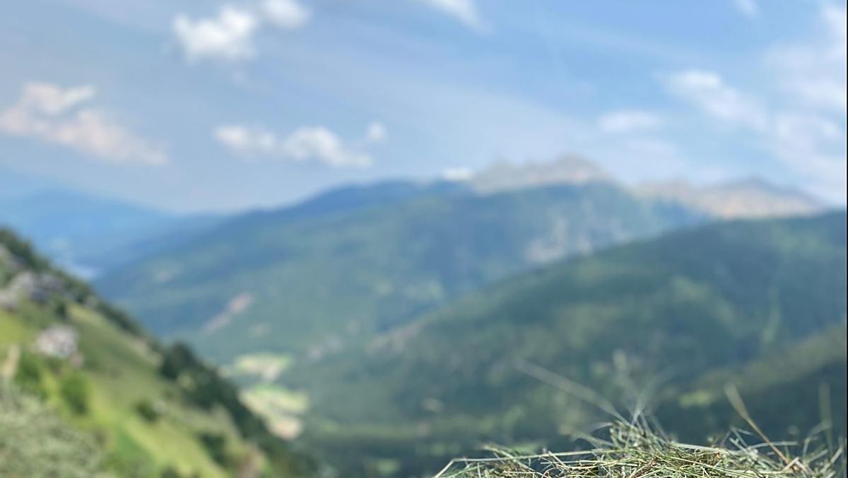 La nostra fienagione si distingue per il tanto lavoro manuale sui ripidi pendii.
