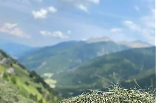 La nostra fienagione si distingue per il tanto lavoro manuale sui ripidi pendii.