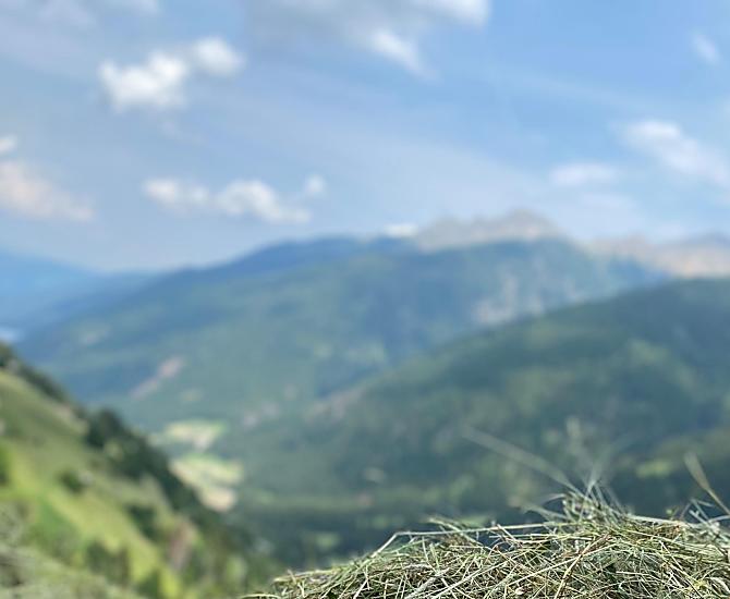 La nostra fienagione si distingue per il tanto lavoro manuale sui ripidi pendii.