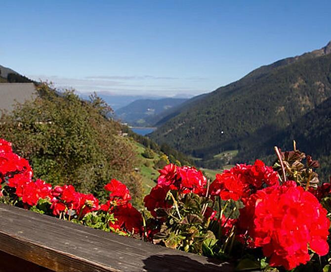 Magnifica vista dal balcone con vista sul lago