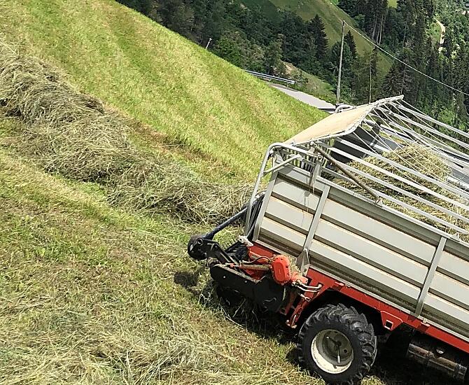 Fienagione sui ripidi pendii