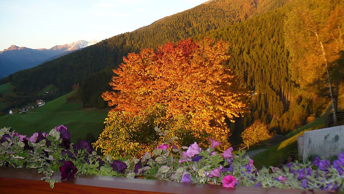 Autunno al maso Pendl 