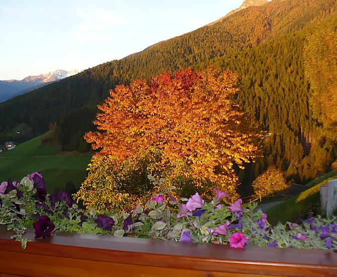 Autunno al maso Pendl 