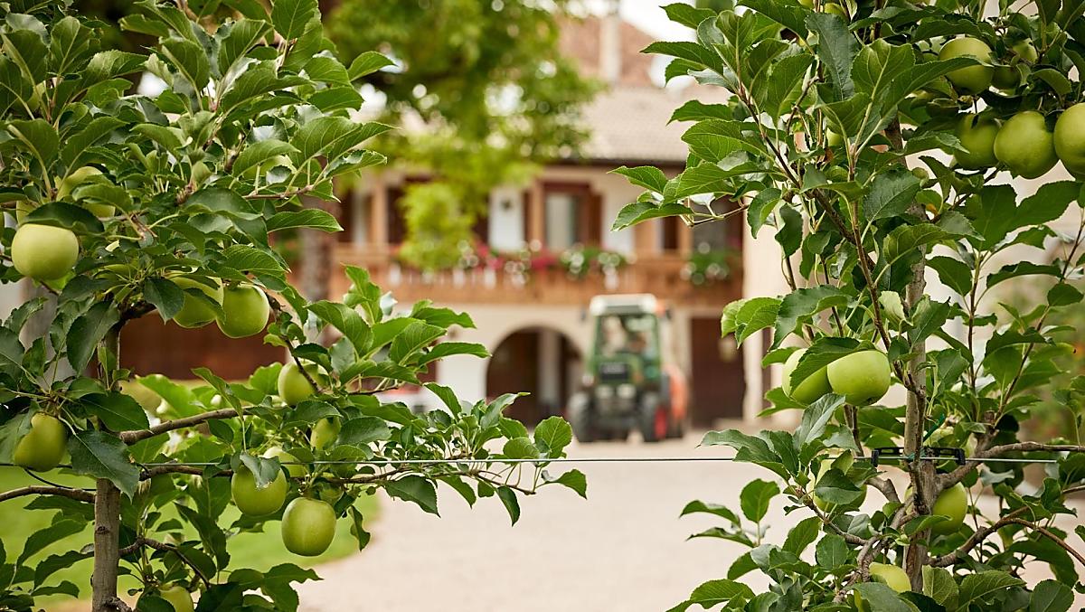 Linserhof - gallery Photo